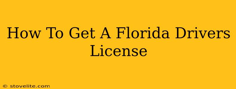 How To Get A Florida Drivers License