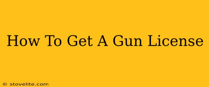 How To Get A Gun License