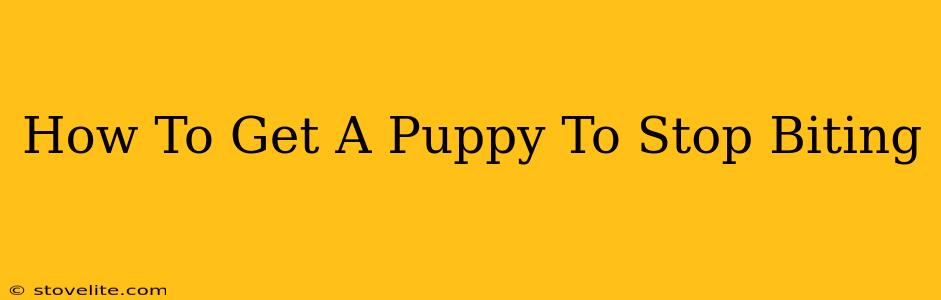 How To Get A Puppy To Stop Biting