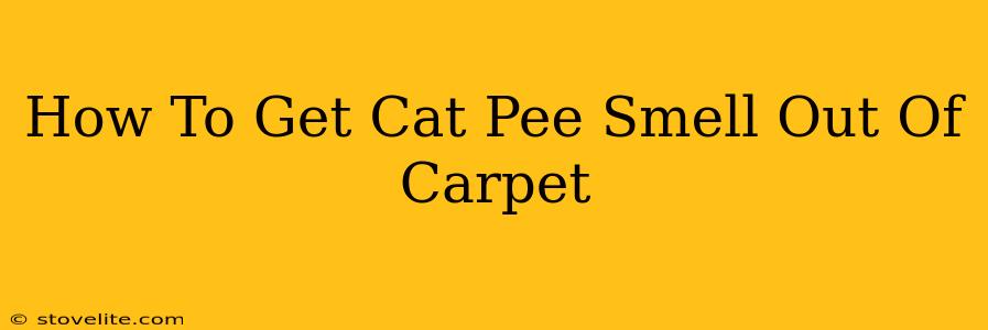 How To Get Cat Pee Smell Out Of Carpet