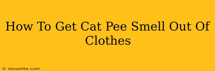 How To Get Cat Pee Smell Out Of Clothes