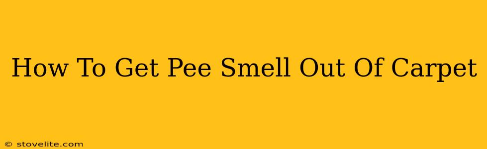 How To Get Pee Smell Out Of Carpet