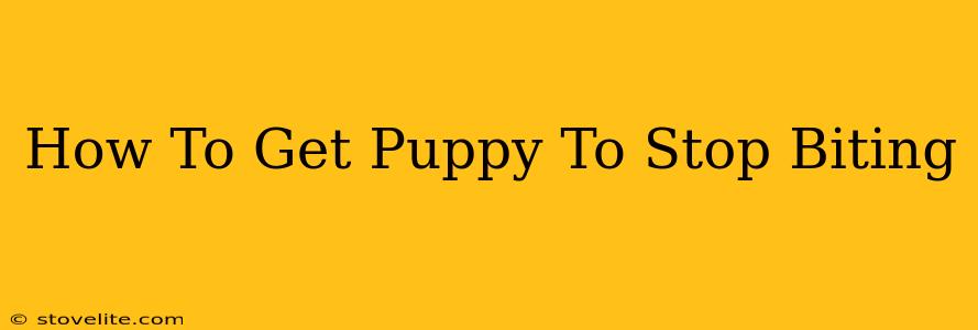 How To Get Puppy To Stop Biting