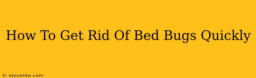 How To Get Rid Of Bed Bugs Quickly