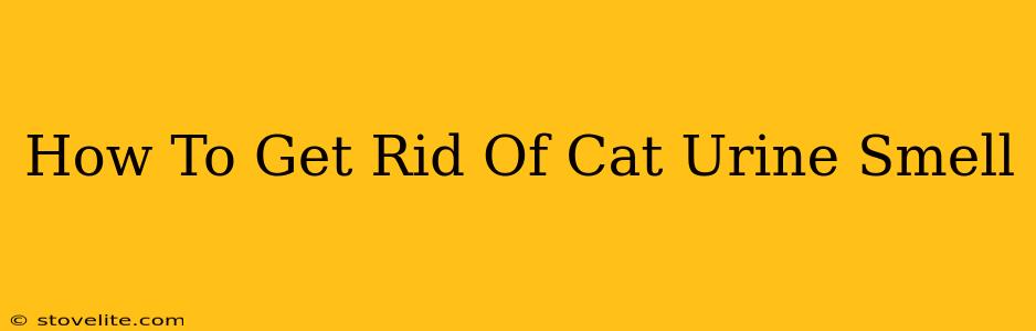 How To Get Rid Of Cat Urine Smell