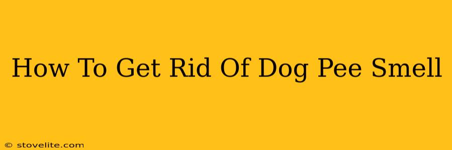 How To Get Rid Of Dog Pee Smell