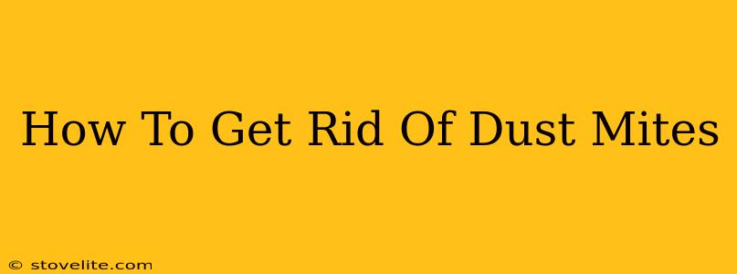 How To Get Rid Of Dust Mites