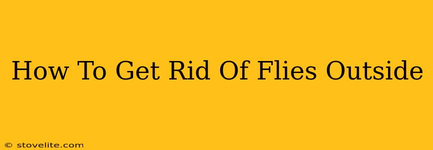 How To Get Rid Of Flies Outside