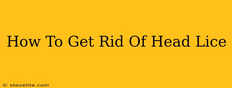 How To Get Rid Of Head Lice