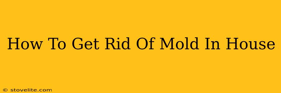 How To Get Rid Of Mold In House