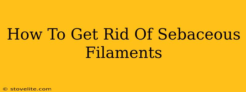 How To Get Rid Of Sebaceous Filaments