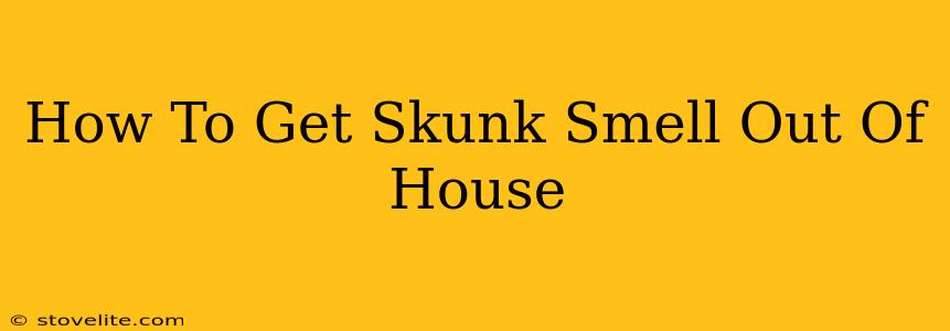 How To Get Skunk Smell Out Of House