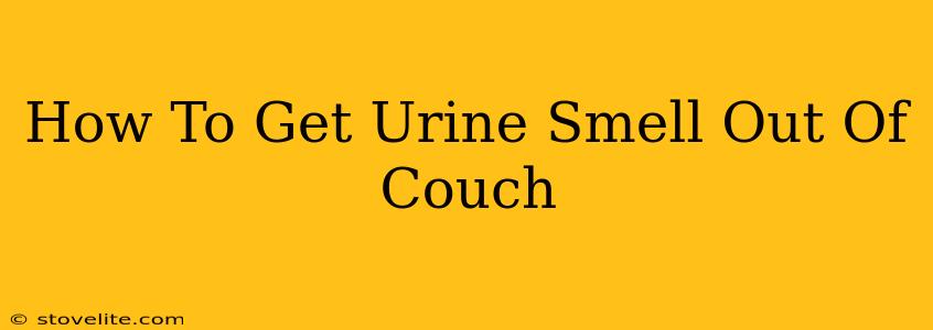 How To Get Urine Smell Out Of Couch