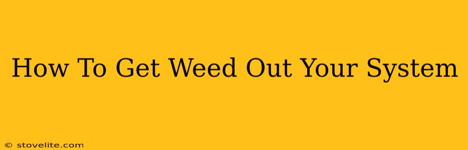 How To Get Weed Out Your System