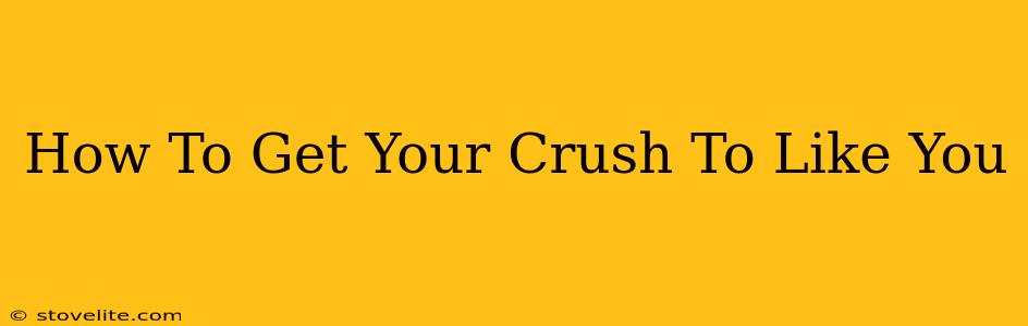 How To Get Your Crush To Like You