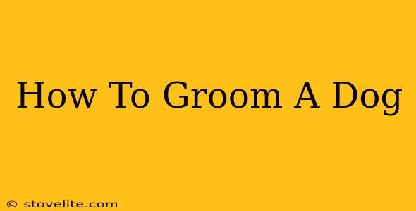 How To Groom A Dog