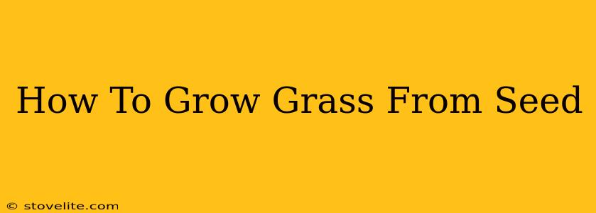 How To Grow Grass From Seed