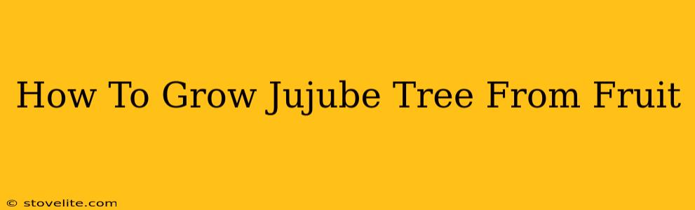 How To Grow Jujube Tree From Fruit