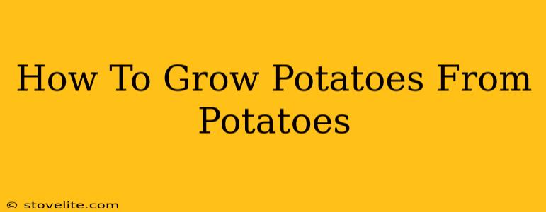 How To Grow Potatoes From Potatoes