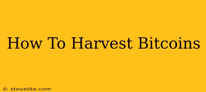 How To Harvest Bitcoins