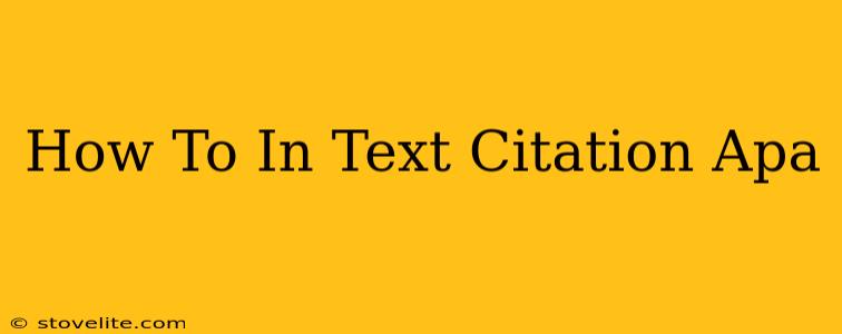 How To In Text Citation Apa