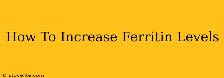 How To Increase Ferritin Levels