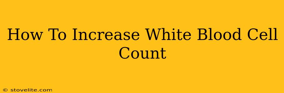 How To Increase White Blood Cell Count