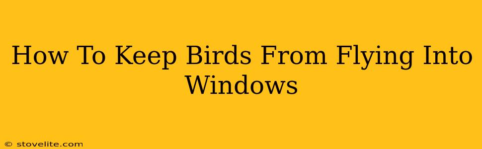 How To Keep Birds From Flying Into Windows