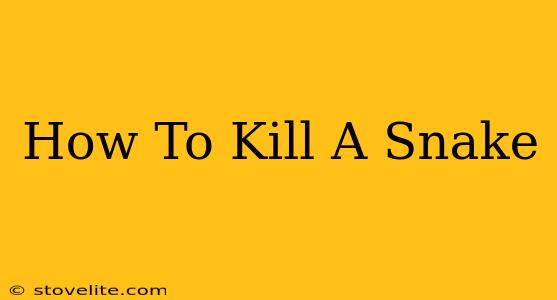 How To Kill A Snake