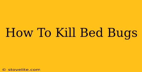 How To Kill Bed Bugs