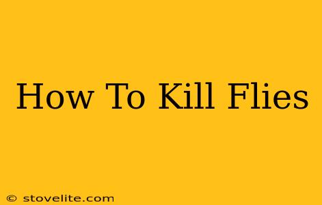 How To Kill Flies