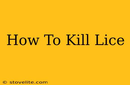 How To Kill Lice