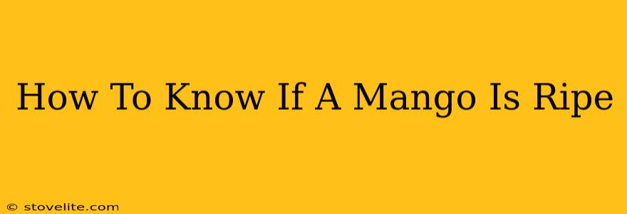 How To Know If A Mango Is Ripe