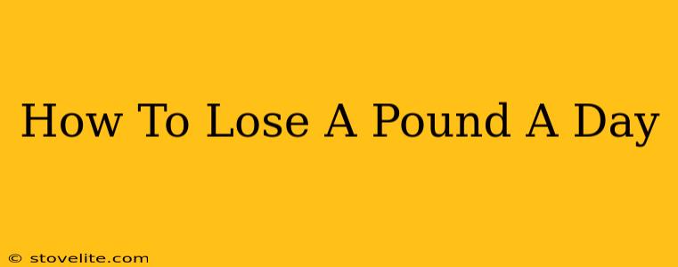 How To Lose A Pound A Day