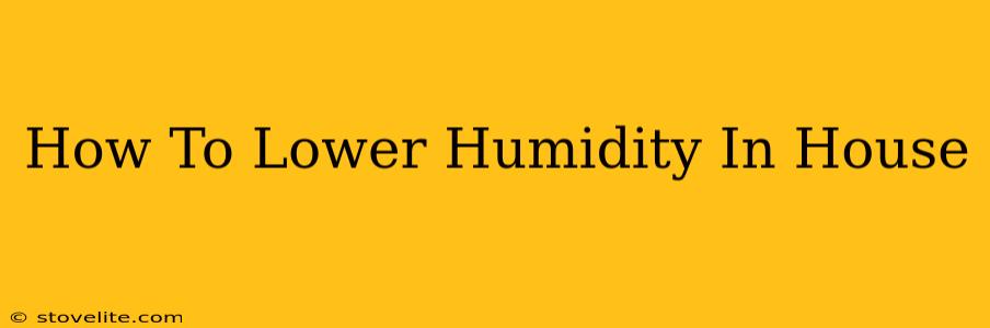 How To Lower Humidity In House