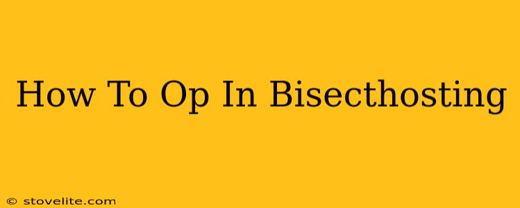 How To Op In Bisecthosting