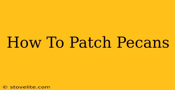 How To Patch Pecans