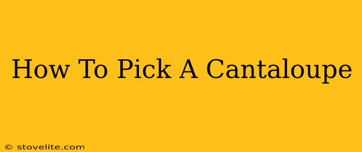 How To Pick A Cantaloupe