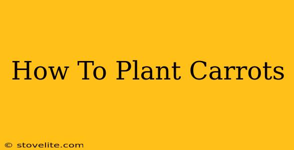 How To Plant Carrots