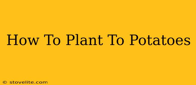 How To Plant To Potatoes