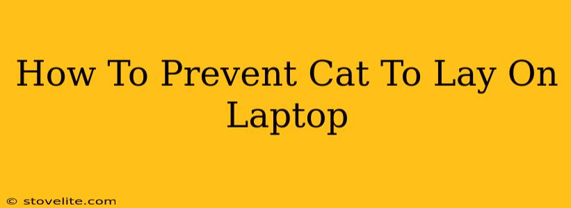 How To Prevent Cat To Lay On Laptop