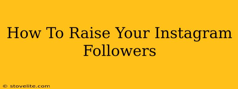 How To Raise Your Instagram Followers