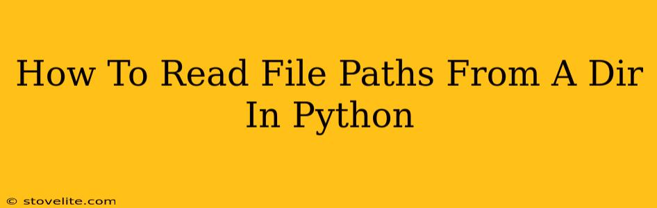 How To Read File Paths From A Dir In Python