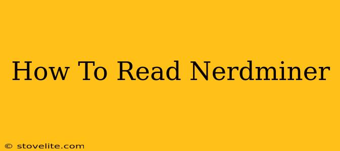 How To Read Nerdminer