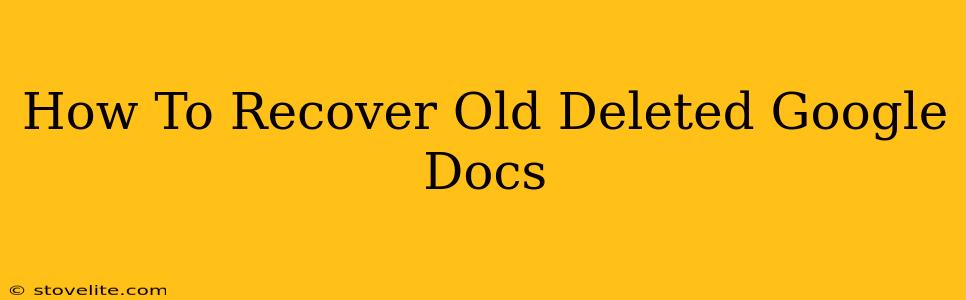 How To Recover Old Deleted Google Docs