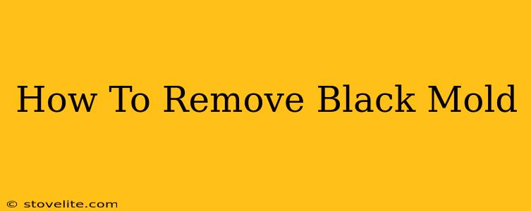 How To Remove Black Mold