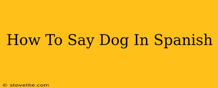 How To Say Dog In Spanish