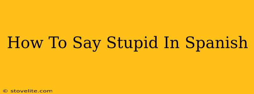 How To Say Stupid In Spanish