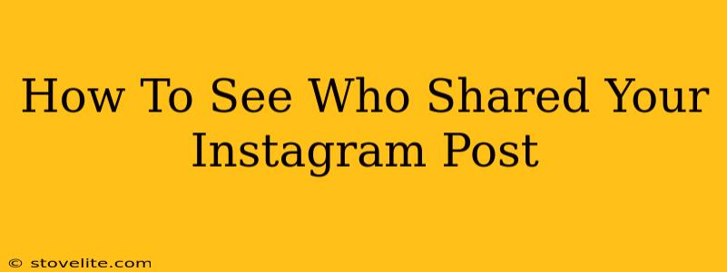 How To See Who Shared Your Instagram Post