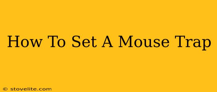 How To Set A Mouse Trap